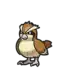 Pidgey