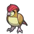 Pidgeotto