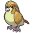Pidgeot
