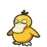 Psyduck