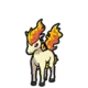 Ponyta