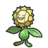 Sunflora