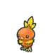 Torchic