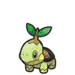 Turtwig