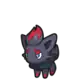 Zorua