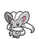 Cinccino
