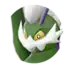 Tornadus