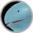 Quagsire