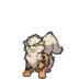 Arcanine