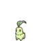 Chikorita