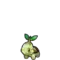 Turtwig