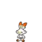 Scorbunny
