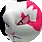 Zangoose
