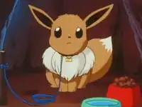 Mikey's Eevee