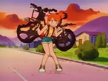 Misty's destroyed bicycle