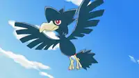 Mitchell's Murkrow