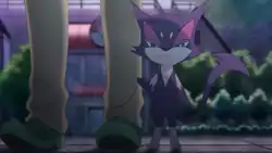 N's Purrloin