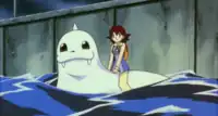 Neesha's Dewgong in Mewtwo Strikes Back