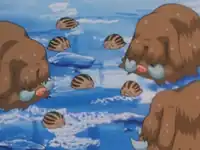 Nurse Joy's Piloswine