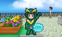 A Lilycove Viridian face board