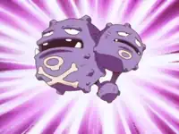 Pokémon League entrance exam instructor's Weezing