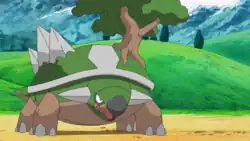 Paul's Torterra