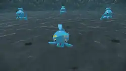 A Manaphy and three Phione in Seaside Hollow