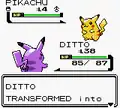Ditto transformed into Pikachu (Generation II)