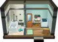 The washroom in the player's house