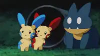 Tory's Plusle and Minun