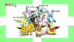 Eeveelutions as seen in the Poké TV segment