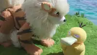 Kent's Arcanine