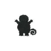 ""The silhouette Squirtle embroidery from the Pokémon Shirts clothing line."