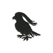 ""The silhouette Pidgeot embroidery from the Pokémon Shirts clothing line."