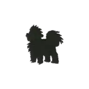 ""The silhouette Growlithe embroidery from the Pokémon Shirts clothing line."