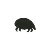 ""The silhouette Kabuto embroidery from the Pokémon Shirts clothing line."