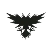 ""The silhouette Zapdos embroidery from the Pokémon Shirts clothing line."