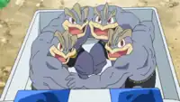 Police Officer's Machamp