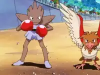 Punk's Hitmonchan