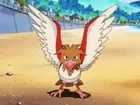 Punk's Spearow