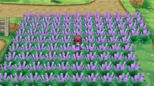 A use of the Poké Radar in the purple flowers on Route 5 with a weakly shaking and regular shaking patch on ring 1, violently shaking patches on ring 2 and 3, and a sparkling patch on ring 4.