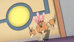 Red's Dodrio