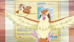 Red's Pidgey