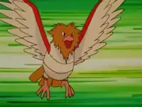 Spearow or Tentacool