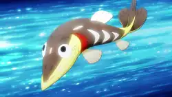 Rocket Prize Master's Arrokuda