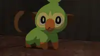 Rocket Prize Master's Grookey