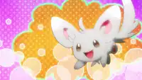 Rocket Prize Master's Minccino