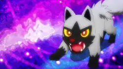 Rocket Prize Master's Poochyena