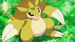 Rocket Prize Master's Sandslash