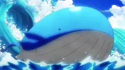 Rocket Prize Master's Wailord